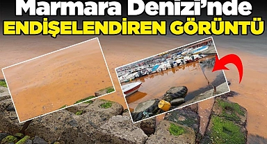 Marmara Denizi'nde endişelendiren görüntü