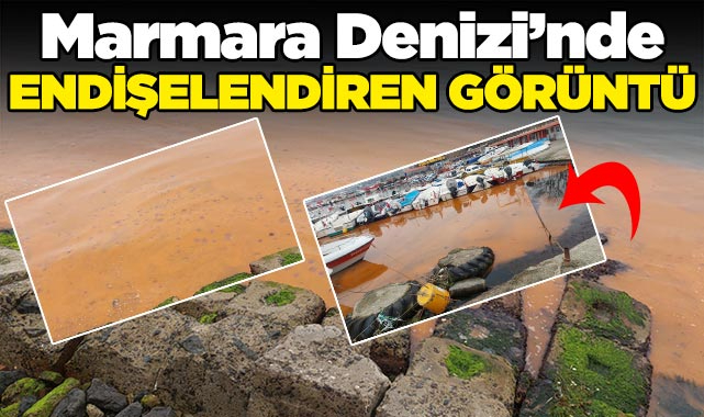 Marmara Denizi'nde endişelendiren görüntü