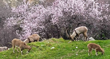 Tunceli'de iki farklı mevsim yaşanıyor