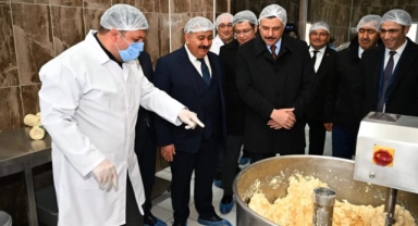 Üreten kadınlardan günde 5 ton çiğ süt işlemi