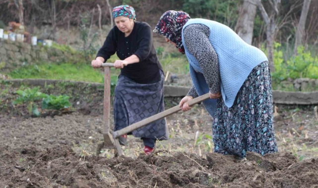 Yeni nesil tarla işlerinden kaçıyor