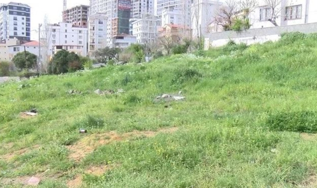 7 yaşındaki ikizlere köpek saldırısı: 30 dikiş atıldı