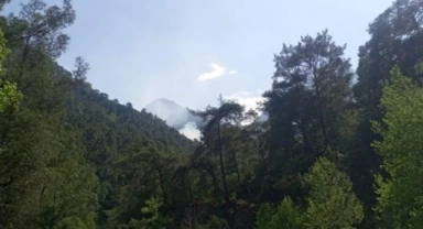Antalya'daki yangın kontrol altına alındı