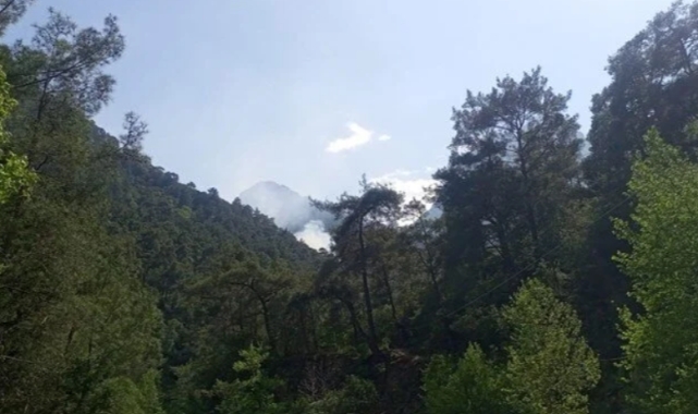 Antalya'daki yangın kontrol altına alındı