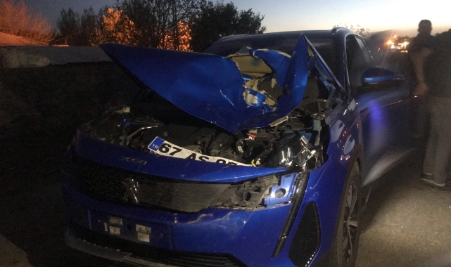 Bingöl’de otomobilin çarptığı inek telef oldu