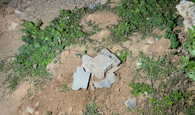 Boş arazide bebek cesedi bulundu