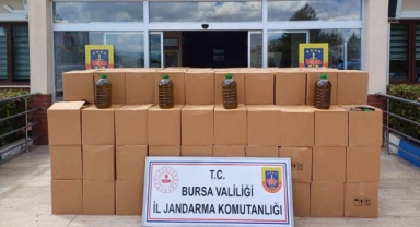 Bursa'da sahte zeytinyağı kaçakçılarına operasyon