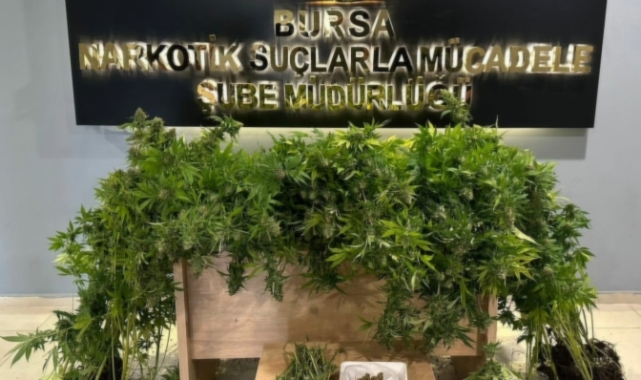 Bursa'da uyuşturucu operasyonu!
