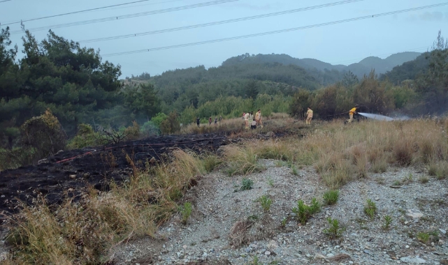 Dörtyol’da çıkan orman yangını söndürüldü