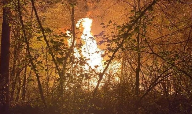 Düzce’de orman yangını: 6 dönüm arazi yandı