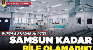 Hasta ve yakınlarının kargo şirketlerinde işi ne?