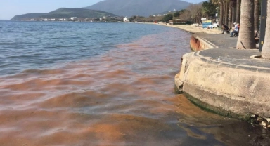 Marmara Denizi'nde müsilaj alarmı!
