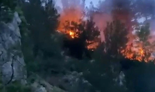 Osmaniye'de korkutan yangın