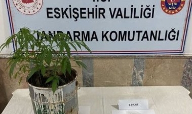 Polis ve jandarma ekiplerinden ortak operasyon
