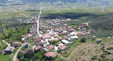 Şeker hastalığının ilacı Bursa'nın bu köyünde...