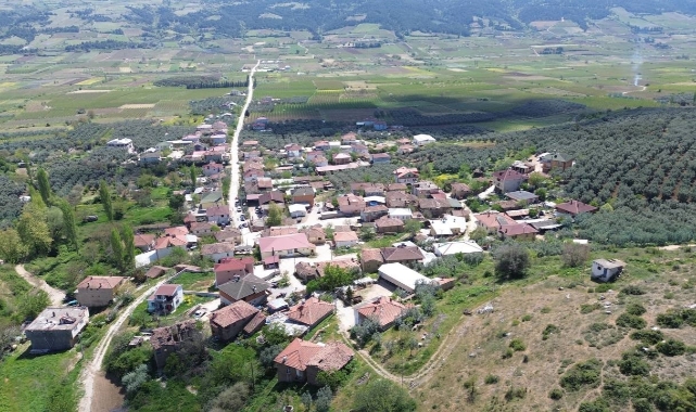 Şeker hastalığının ilacı Bursa'nın bu köyünde...