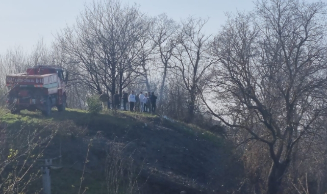 Sinop’ta orman yangını