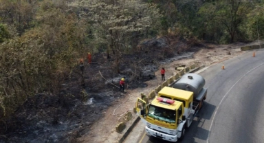 Venezuela, rekor sayıdaki orman yangınlarıyla mücadele ediyor
