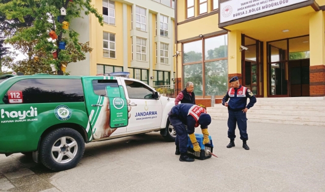 Yaralı leyleğe jandarma şefkati