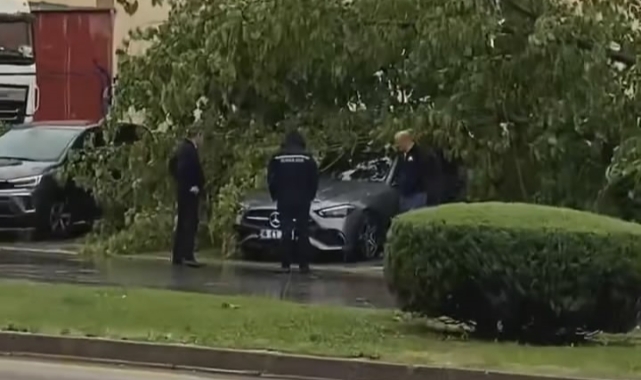 Ağaçlara yıldırım düştü, fırtına hayatı olumsuz etkiledi