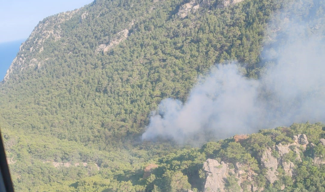 Antalya'da orman yangını