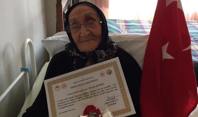 Asırlık çınar 106 yaşında hayatını kaybetti!
