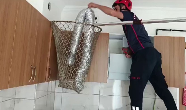 Bacada sıkışan güvercini itfaiye kurtardı!