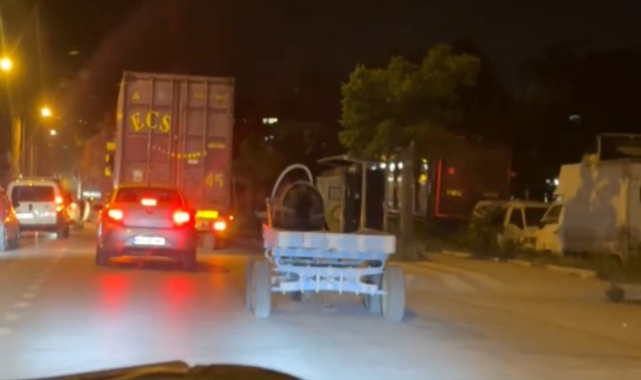 Başıboş at arabası şehir turu attı