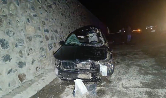Bingöl’de otomobil ata çarptı