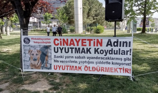 Bursa'da sokak hayvanları için ortak ses!
