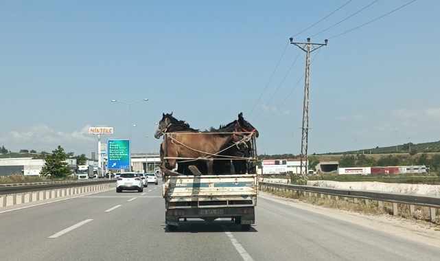 Bursa'da 'yok artık' dedirten görüntü