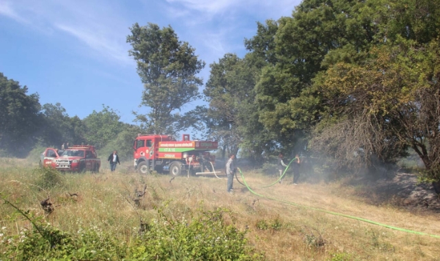 Çanakkale'de korkutan yangın!