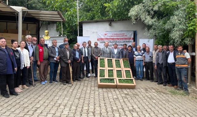 Çiftçilere devlet destekli bostan fidesi dağıtılıyor!