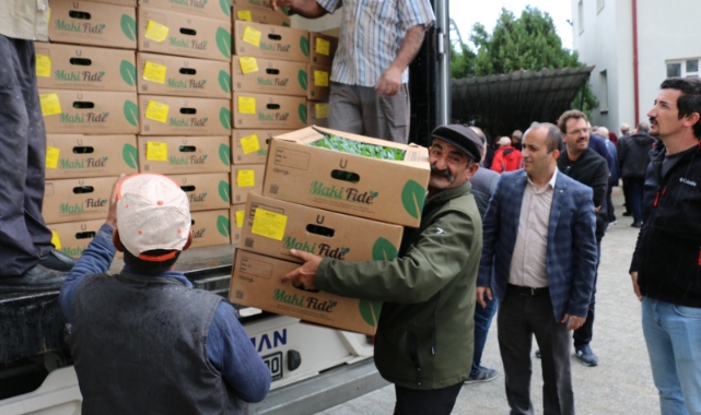 Çiftçilere fide dağıtıldı
