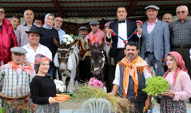 Eşeklere nikah kıydılar