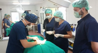 Geleceğin veteriner hekimlerine uygulamalı eğitim