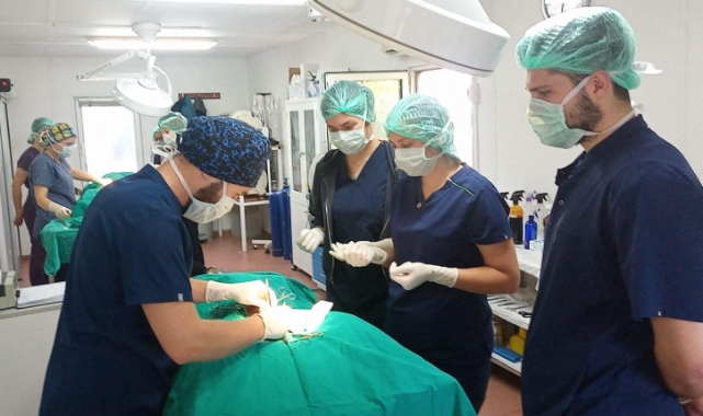Geleceğin veteriner hekimlerine uygulamalı eğitim