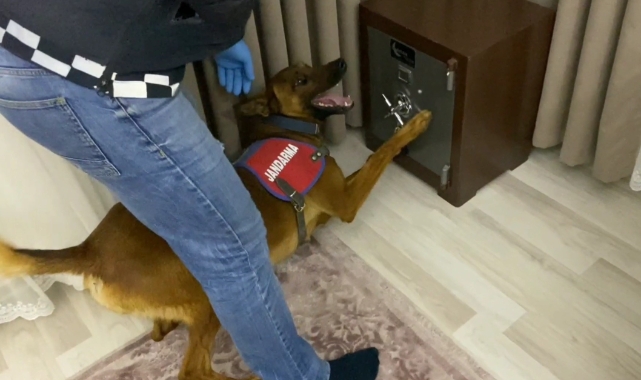 Jandarmadan 1 milyonluk uyuşturucu operasyonu!