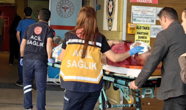 Kiraz ağacından düşen adam ağır yaralandı!