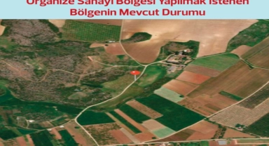 Şirin Rodoplu Şimşek: Tarımı ve gıdayı yok edecek projelere karşıyız