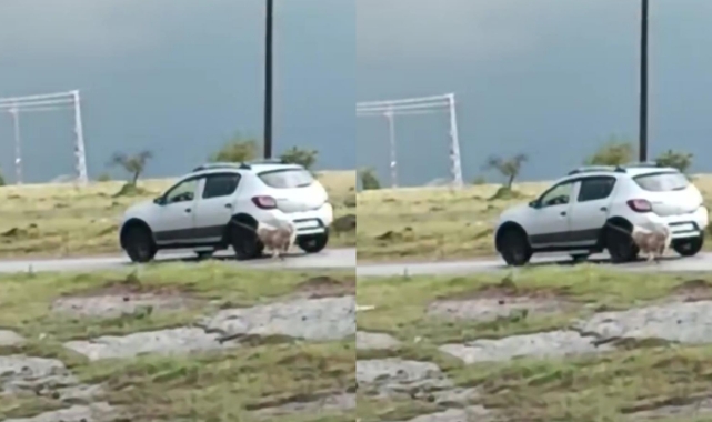 Köpeği otomobile iple bağlayıp sürükledi
