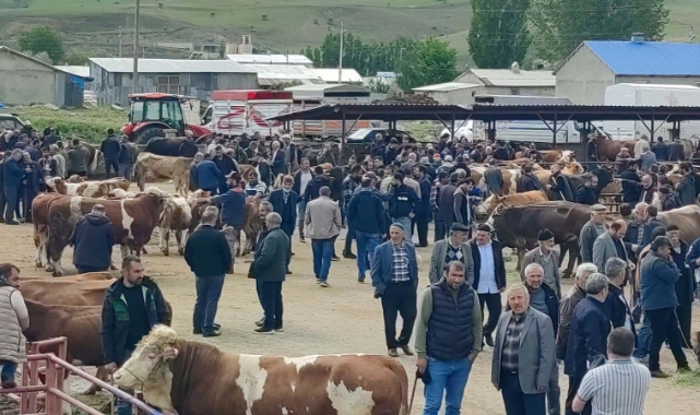 Kurbanlıklar görücüye çıktı