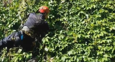 Mahsur kalan kedinin imdadına itfaiye yetişti