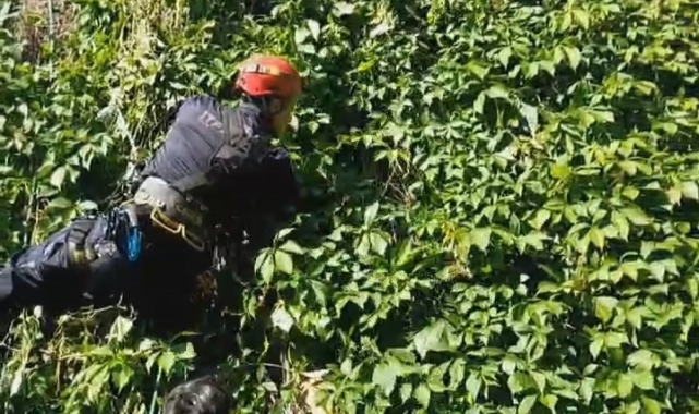 Mahsur kalan kedinin imdadına itfaiye yetişti