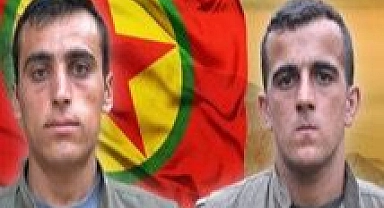 MİT'ten sınır ötesinde nokta operasyon