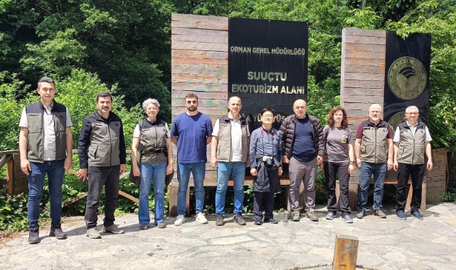 Mustafakemalpaşa ormanları 'Terapi ormanı' için mercek altında