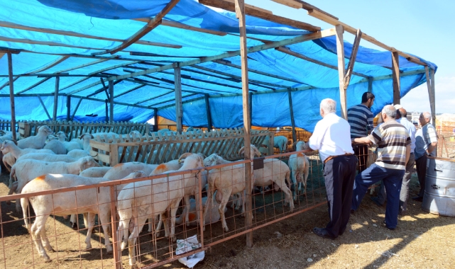 Osmangazi Belediyesi Kurban Bayramı’na hazır
