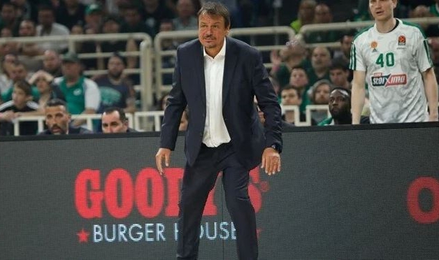 Panathinaikos, 12 yıl sonra Euroleague Final Four'da