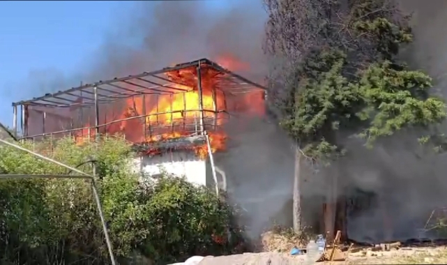 Pendik'te 2 katlı bina alev alev yandı
