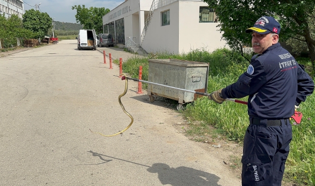 Polis arabasına giren yılanı itfaiye ekibi çıkardı!